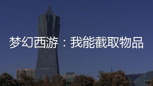 夢幻西游：我能截取物品屬性！