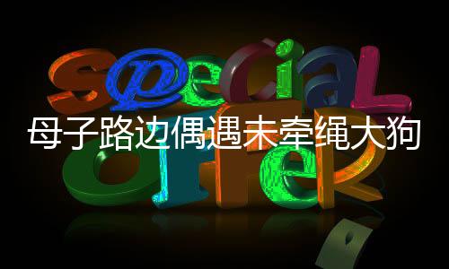母子路邊偶遇未牽繩大狗，冷靜應(yīng)對，展現(xiàn)人性光輝