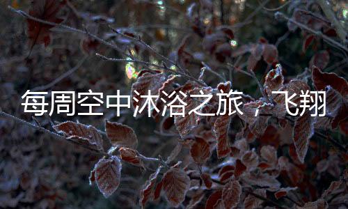 每周空中沐浴之旅，飛翔的洗護(hù)新風(fēng)尚