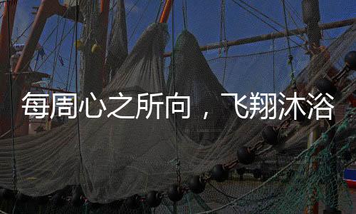 每周心之所向，飛翔沐浴——渴望飛行與追求身心凈化的旅程