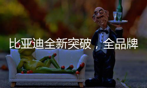 比亞迪全新突破，全品牌搭載無人機系統(tǒng)，引領(lǐng)智能科技新時代