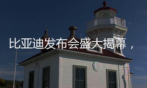 比亞迪發(fā)布會盛大揭幕，一口氣發(fā)布超過二十款全新車型