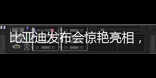 比亞迪發(fā)布會(huì)驚艷亮相，一口氣發(fā)布超過(guò)二十款全新車(chē)型