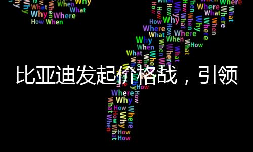 比亞迪發(fā)起價(jià)格戰(zhàn)，引領(lǐng)新一輪行業(yè)變革