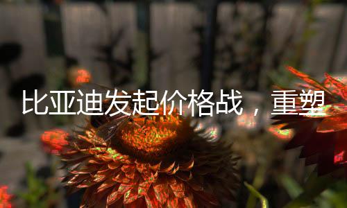 比亞迪發(fā)起價格戰(zhàn)，重塑行業(yè)格局的新一輪挑戰(zhàn)