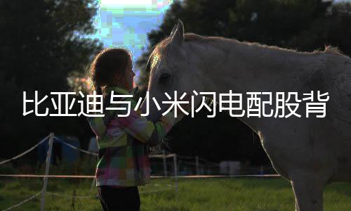 比亞迪與小米閃電配股背后的戰(zhàn)略布局