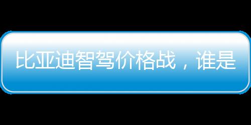 比亞迪智駕價(jià)格戰(zhàn)，誰(shuí)是真正的緊張者？