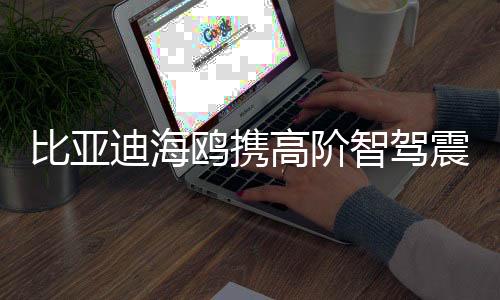 比亞迪海鷗攜高階智駕震撼登場(chǎng)，售價(jià)僅七萬多