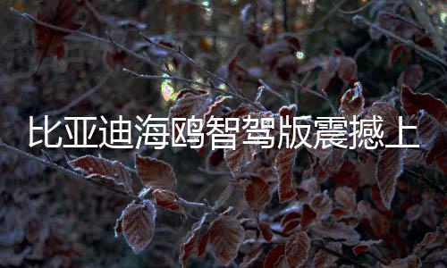 比亞迪海鷗智駕版震撼上市，售價(jià)7.88萬起