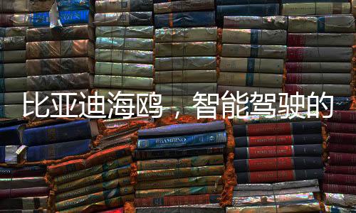 比亞迪海鷗，智能駕駛的新里程碑，僅售價七萬多元起