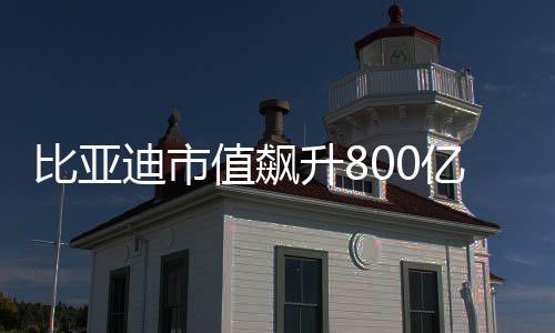 比亞迪市值飆升800億，揭示其成功背后的力量