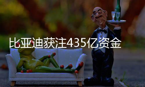 比亞迪獲注435億資金，加速發(fā)展補(bǔ)血新策略引領(lǐng)行業(yè)新風(fēng)向