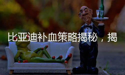 比亞迪補(bǔ)血策略揭秘，揭秘資金布局，預(yù)見未來發(fā)展