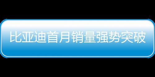比亞迪首月銷量強(qiáng)勢(shì)突破，新能源汽車巨頭創(chuàng)下輝煌記錄——突破三十萬(wàn)輛大關(guān)