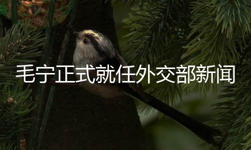 毛寧正式就任外交部新聞司司長，角色與影響一二解析