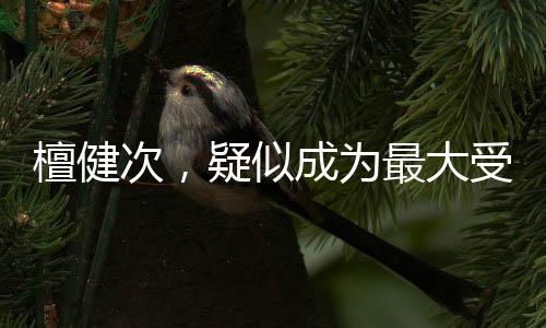 檀健次，疑似成為最大受害者，背后真相引人深思