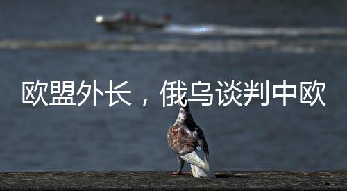 歐盟外長，俄烏談判中歐洲必須上桌
