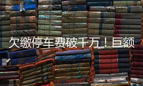 欠繳停車費(fèi)破千萬(wàn)！巨額費(fèi)用揭秘，車主面臨法律困境