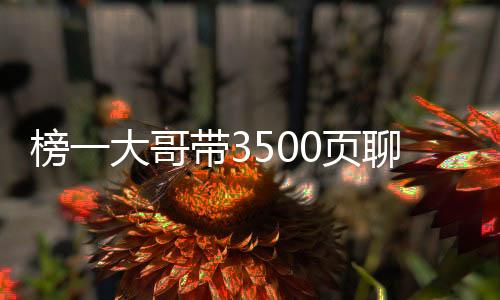 榜一大哥帶3500頁聊天記錄報案——揭秘網(wǎng)絡(luò)背后的故事