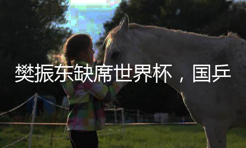 樊振東缺席世界杯，國乒陣容調(diào)整引發(fā)關(guān)注