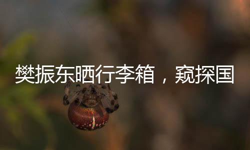 樊振東曬行李箱，窺探國乒一哥的行李背后的故事