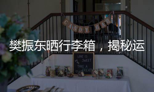樊振東曬行李箱，揭秘運動員背后的故事