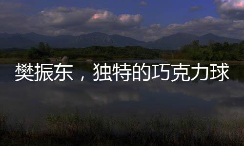 樊振東，獨(dú)特的巧克力球拍演繹乒壇新星