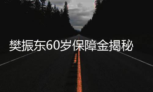 樊振東60歲保障金揭秘，月領(lǐng)六千并非夢(mèng)想，揭秘其背后的多重保障