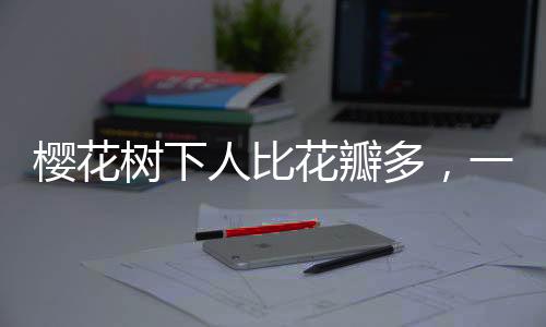 櫻花樹下人比花瓣多，一場盛大的春日盛宴