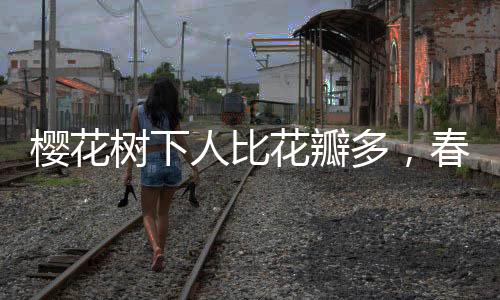 櫻花樹下人比花瓣多，春日賞櫻盛況與獨特體驗