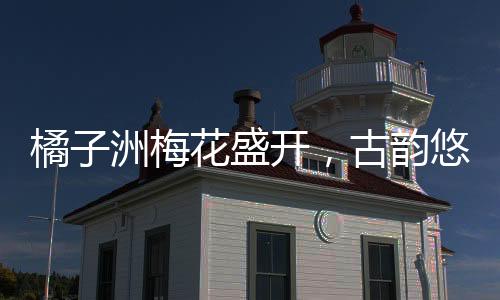 橘子洲梅花盛開，古韻悠長，將古詩具象化展現(xiàn)于世人眼前