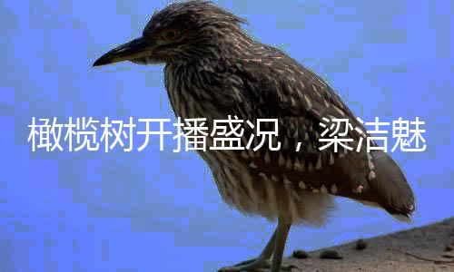 橄欖樹開播盛況，梁潔魅力飆升引發(fā)關(guān)注熱潮——短短三天漲粉四十余萬