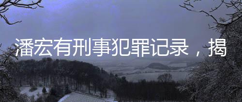 潘宏有刑事犯罪記錄，揭開真相的新聞深度報(bào)道