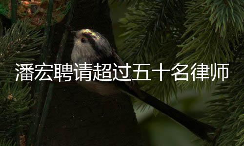潘宏聘請(qǐng)超過(guò)五十名律師，探究背后的故事