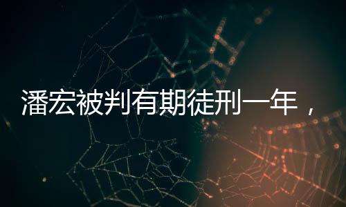 潘宏被判有期徒刑一年，細節(jié)揭示與法律解讀