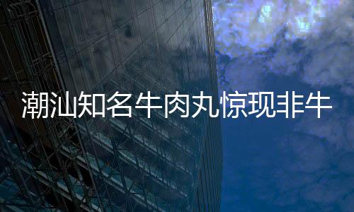 潮汕知名牛肉丸驚現(xiàn)非牛肉成分，消費(fèi)者需警惕——深入調(diào)查揭秘事件始末