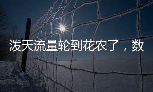 潑天流量輪到花農(nóng)了，數(shù)字化時(shí)代下的花卉產(chǎn)業(yè)新機(jī)遇