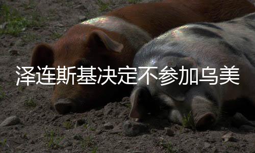 澤連斯基決定不參加烏美會(huì)談，烏克蘭外交策略出現(xiàn)新動(dòng)向