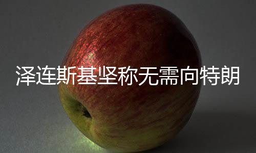 澤連斯基堅(jiān)稱無(wú)需向特朗普道歉，俄烏對(duì)話與外交策略探析