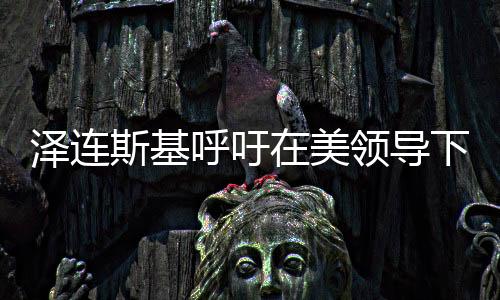澤連斯基呼吁在美領(lǐng)導(dǎo)下盡快和談，期待俄烏沖突的和平解決