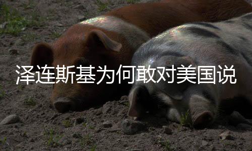 澤連斯基為何敢對美國說不？深度解析其背后的原因與考量