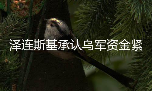 澤連斯基承認(rèn)烏軍資金緊張，俄烏沖突的經(jīng)濟(jì)影響與前景分析