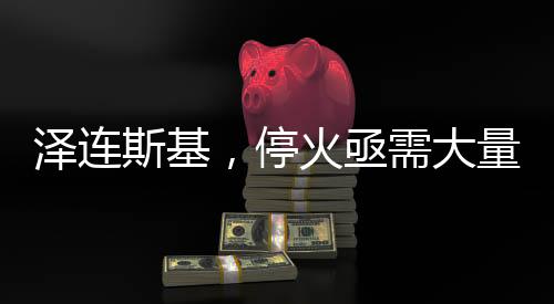澤連斯基，?；鹭叫璐罅烤S和人員，至少二十萬力量介入才能實(shí)現(xiàn)和平曙光