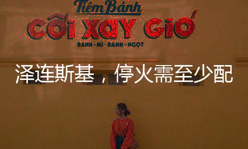 澤連斯基，停火需至少配備二十萬(wàn)維和人員——俄烏局勢(shì)分析