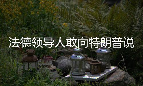 法德領(lǐng)導(dǎo)人敢向特朗普說不嗎？
