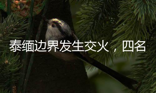 泰緬邊界發(fā)生交火，四名毒販斃命