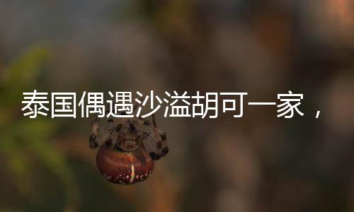 泰國(guó)偶遇沙溢胡可一家，明星家庭度假引發(fā)關(guān)注熱潮