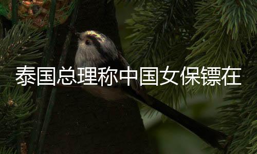 泰國總理稱中國女保鏢在泰國也火了，跨文化的魅力與安保合作的新篇章