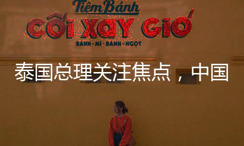 泰國(guó)總理關(guān)注焦點(diǎn)，中國(guó)女保鏢在泰國(guó)嶄露頭角，引發(fā)廣泛熱議