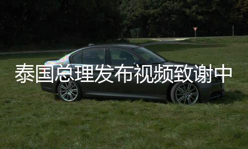 泰國總理發(fā)布視頻致謝中國女保鏢，中泰友好合作的生動(dòng)縮影